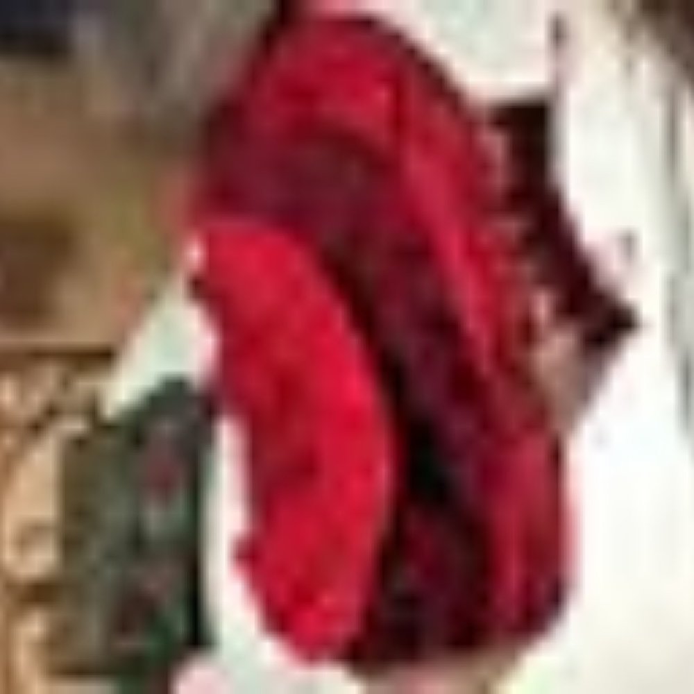 Indian Bridal Lehenga Deep Red velvet/silk - Picture 2 of 12